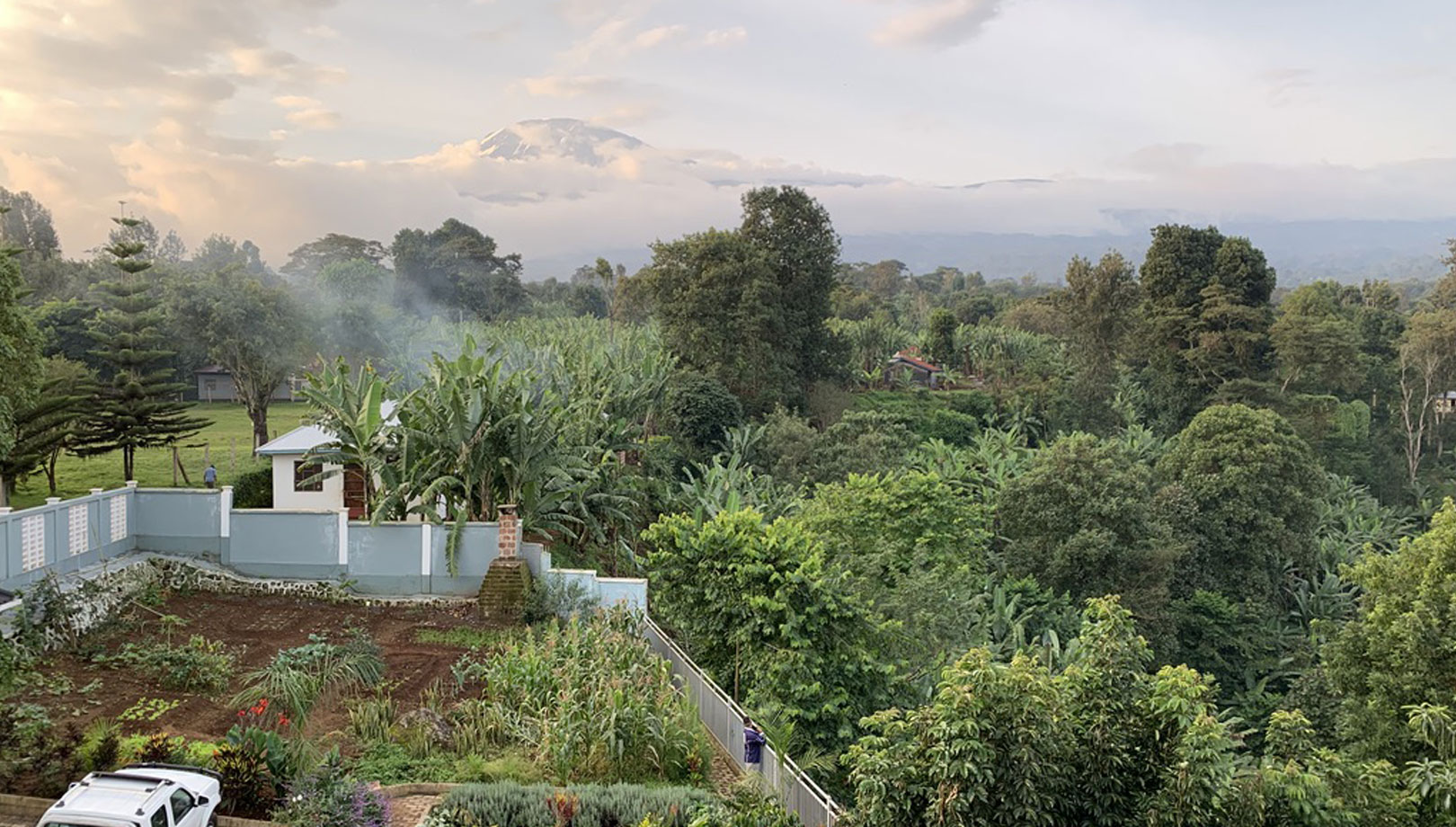Living Charisms for Sustainable Human Development